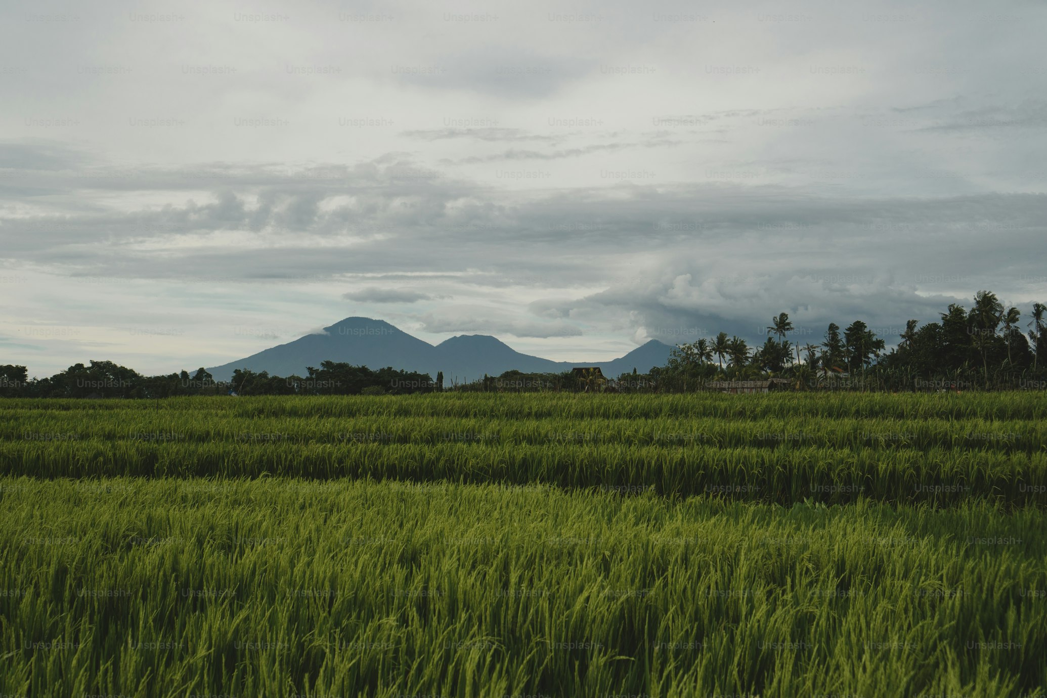 Kerala